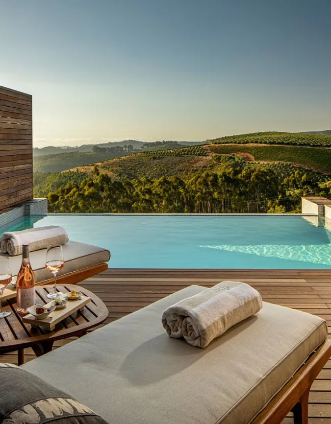 Safari & Wine in South Africa